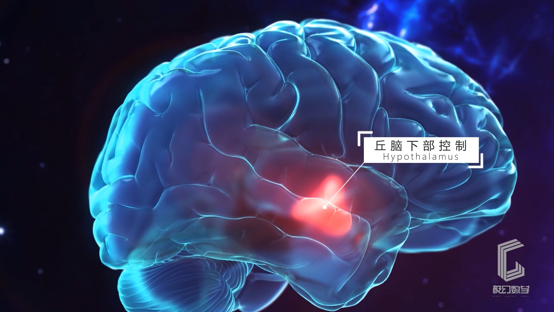 鱼跃医疗-医学药物作用视频演绎