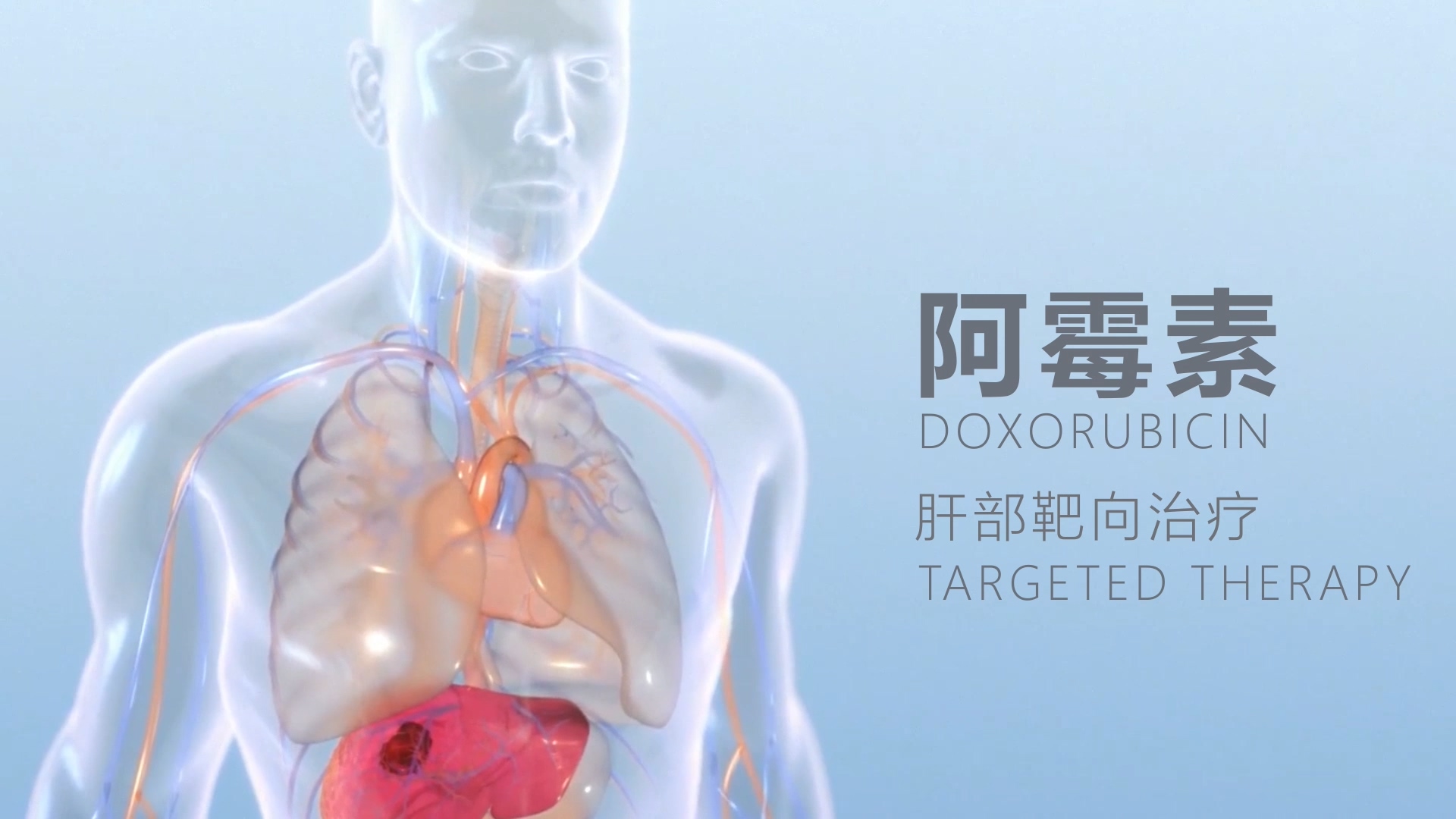 鱼跃医疗-阿霉素肝部靶向治疗过...