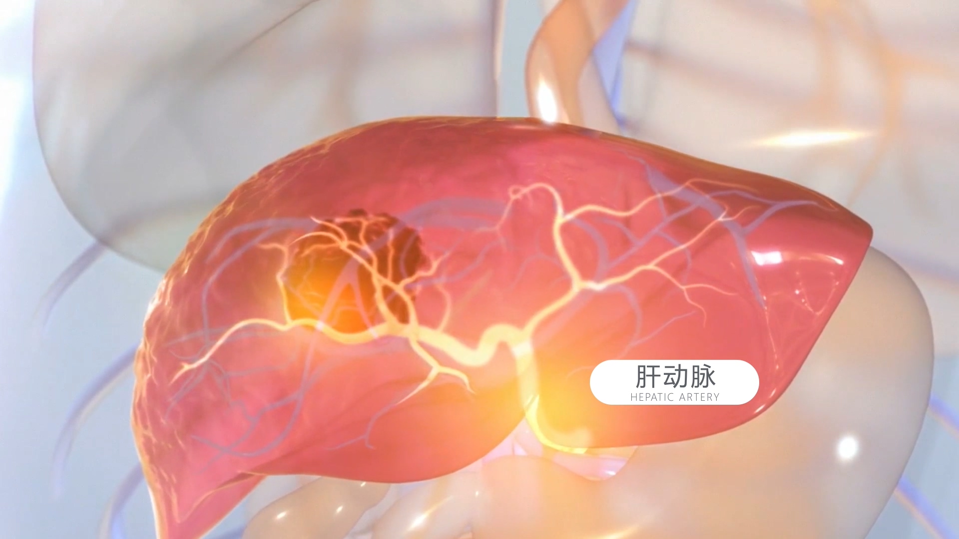 阿霉素肝部靶向治疗过程医学动画