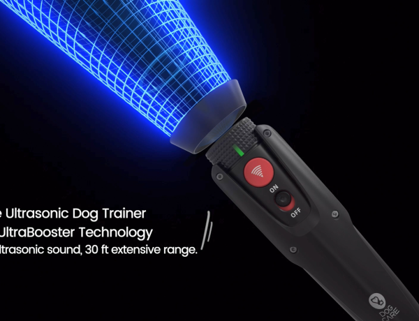 宠物训犬器产品三维片