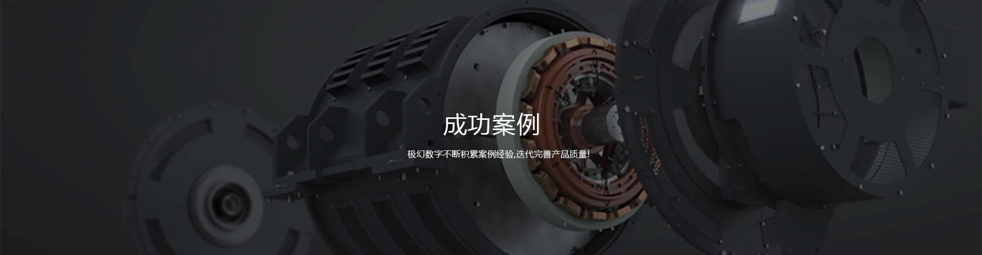 成功案例