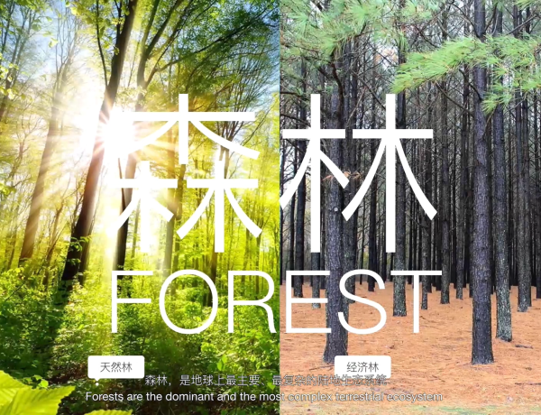 建筑空间-解释说明动画演绎